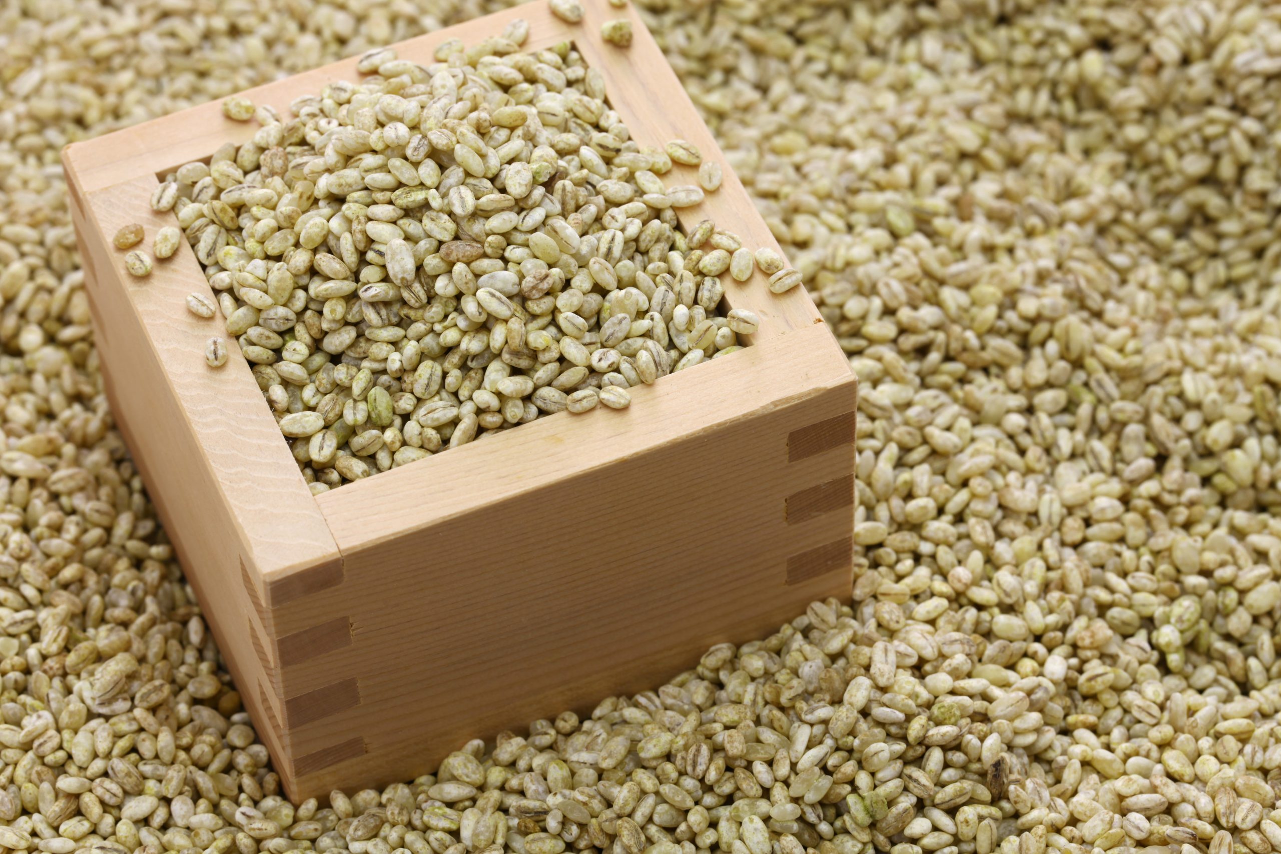 koji-e-derivacoes-criativas