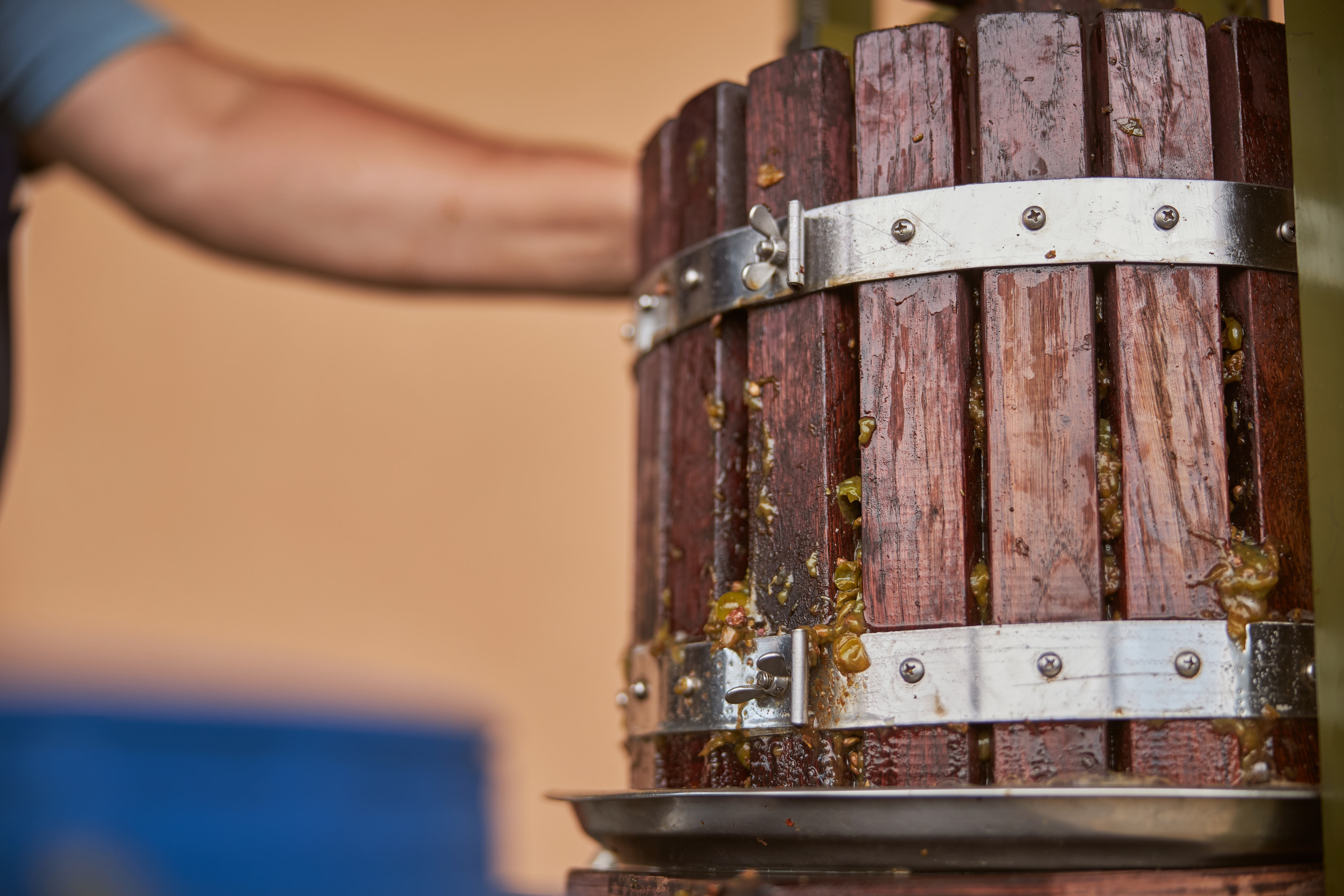 vivencia-em-vinificacao